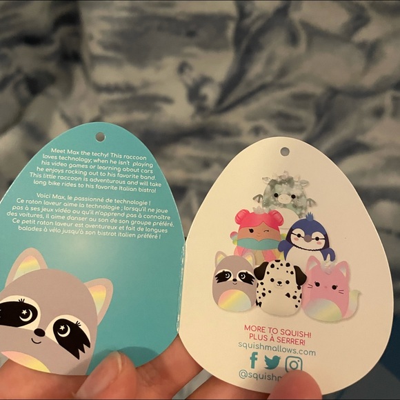 Max the Raccoon Bundle💙 - Picture 4 of 4